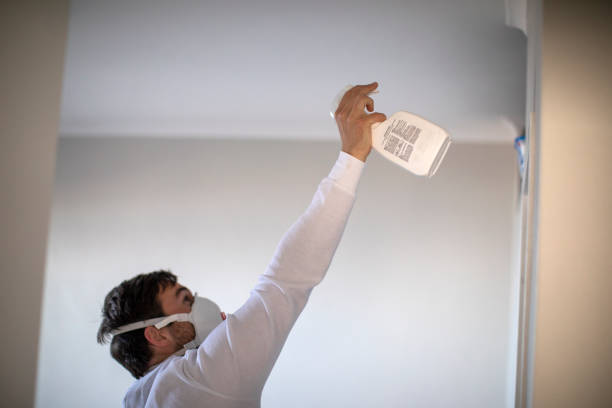 Best Localized Mold Remediation (e.g., coastal areas, humid climates) in Cheney, KS