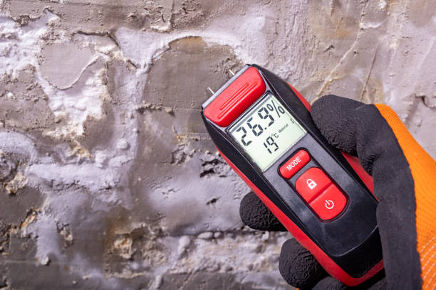 Best Post-Flood Mold Remediation in Cheney, KS