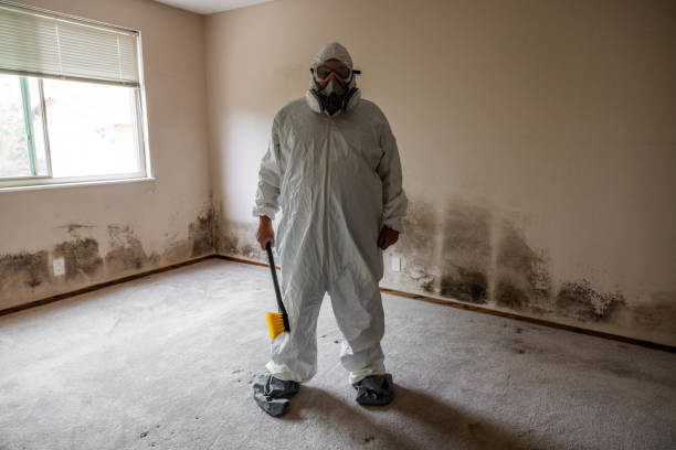 Best Residential Mold Remediation in Cheney, KS